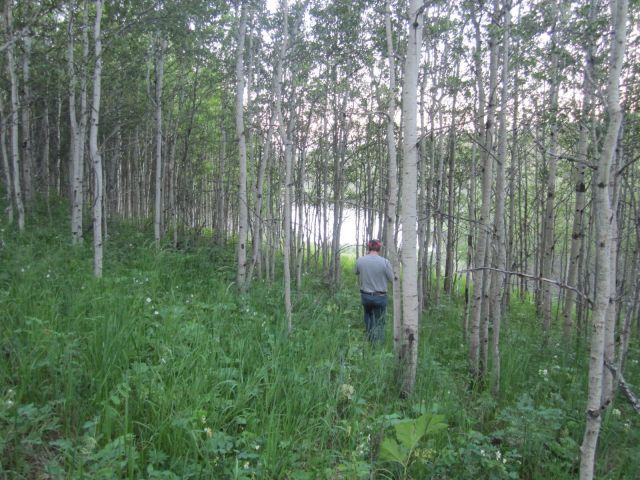 South side of field heading down to the Lake