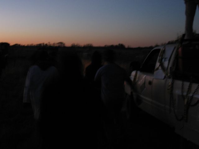 Zombies at dusk.