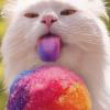 Monday May 21 - Skirmish ga... - last post by xXOVERCLOCKEDXx